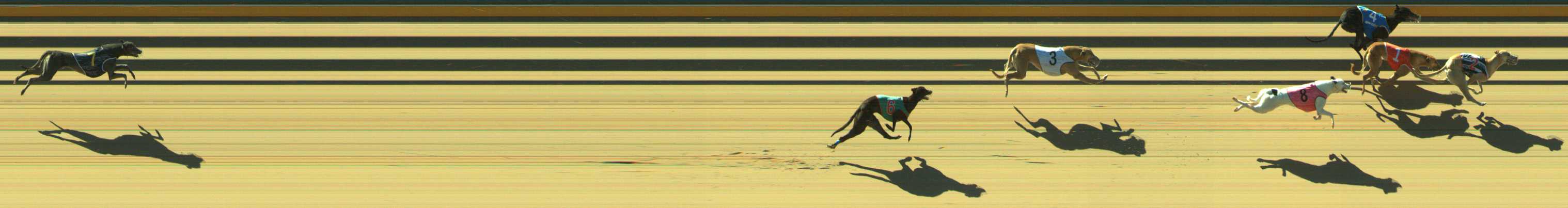 Photo finish for Traralgon Race 3