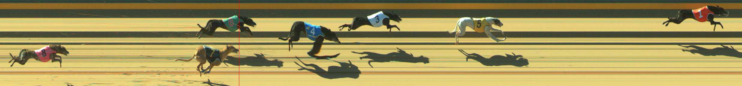 Photo finish for Traralgon Race 5