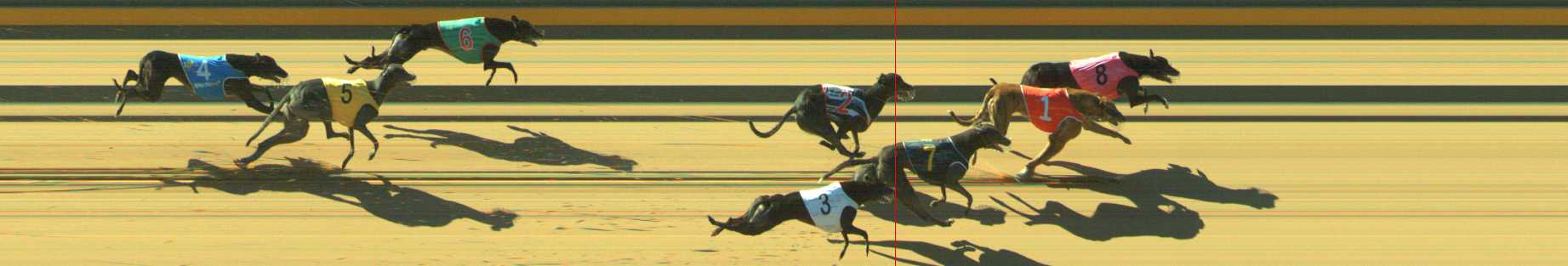 Photo finish for Traralgon Race 6