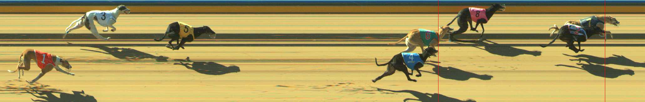 Photo finish for Traralgon Race 7