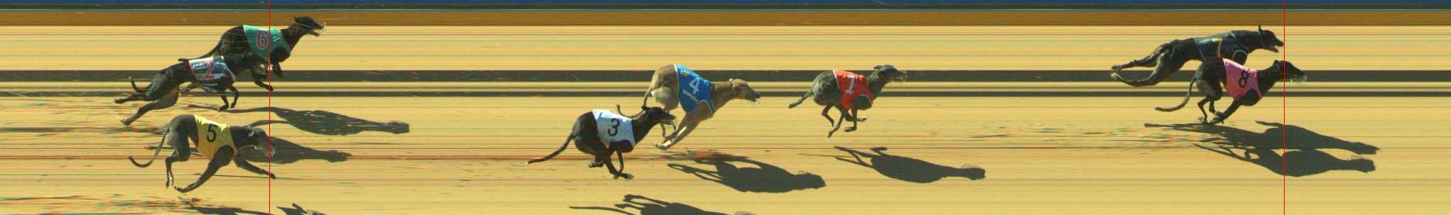 Photo finish for Traralgon Race 8
