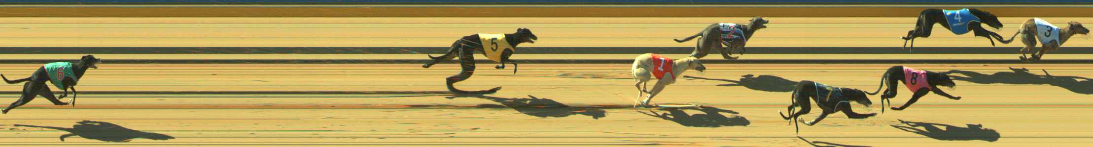Photo finish for Traralgon Race 9