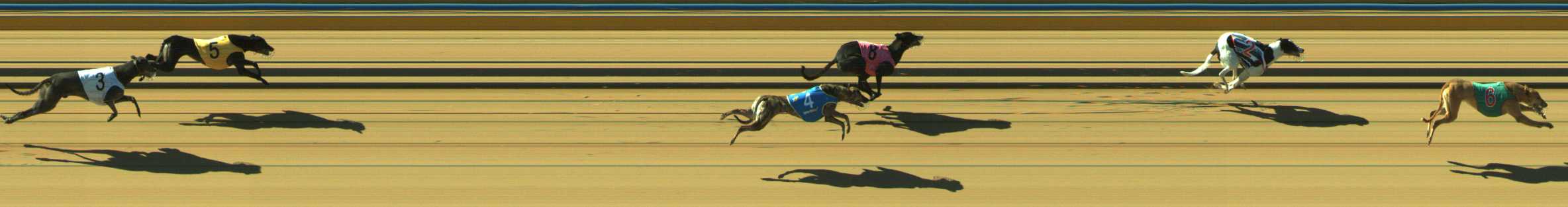 Photo finish for Traralgon Race 10