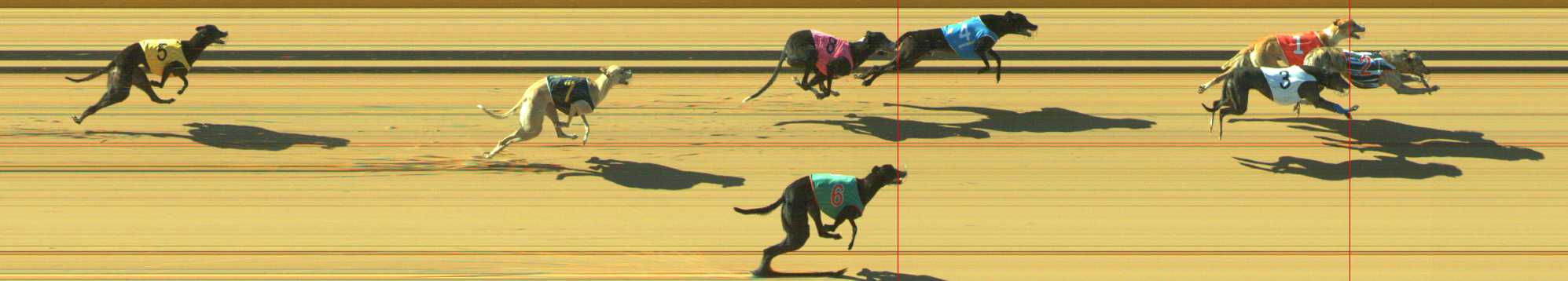Photo finish for Traralgon Race 11