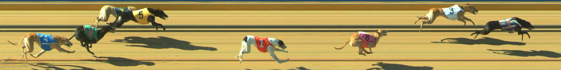 Photo finish for Traralgon Race 12
