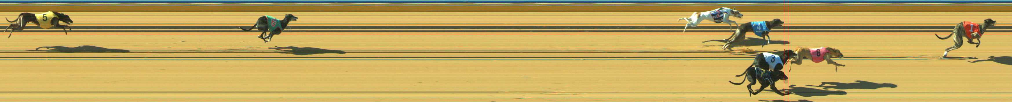 Photo finish for Traralgon Race 13