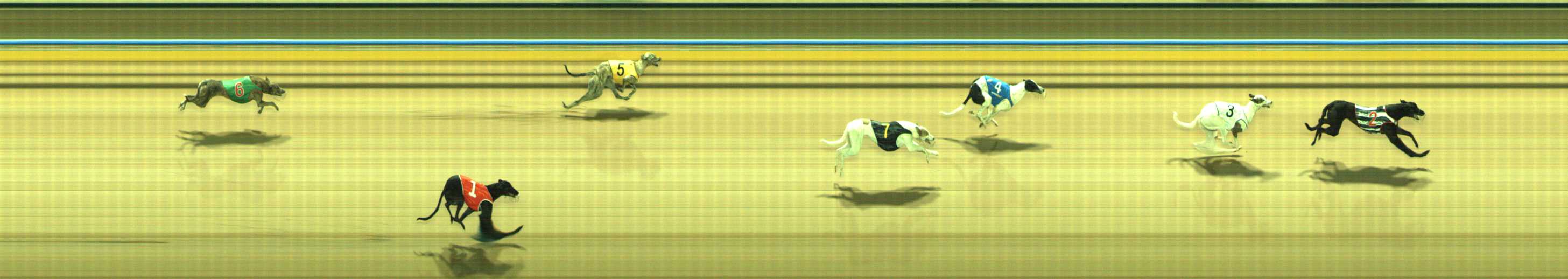 Photo finish for Traralgon Race 1