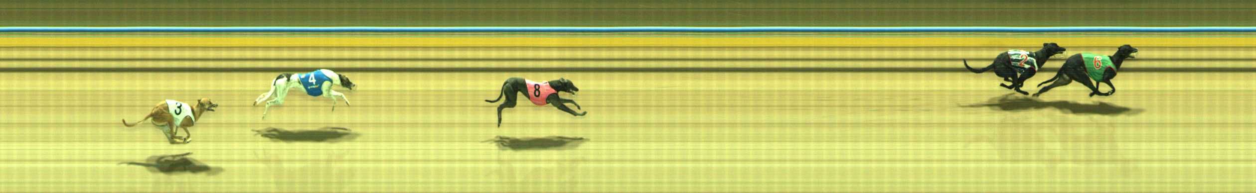 Photo finish for Traralgon Race 2
