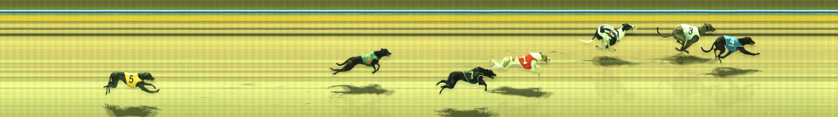Photo finish for Traralgon Race 3