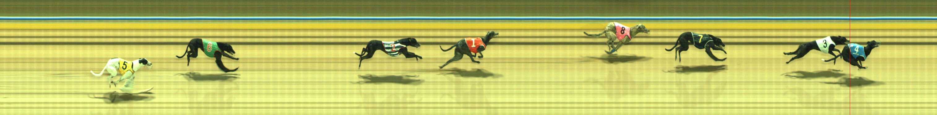 Photo finish for Traralgon Race 4