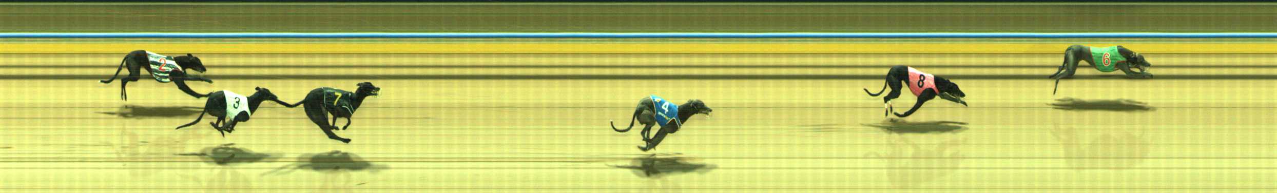 Photo finish for Traralgon Race 5