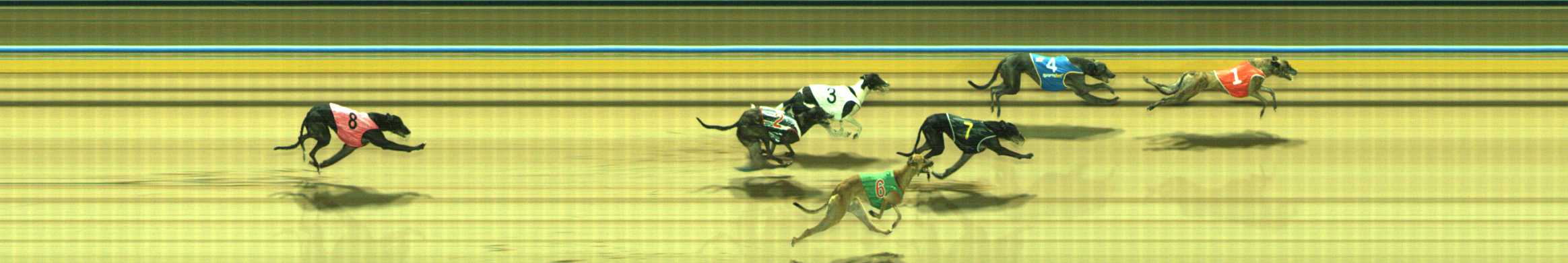 Photo finish for Traralgon Race 6