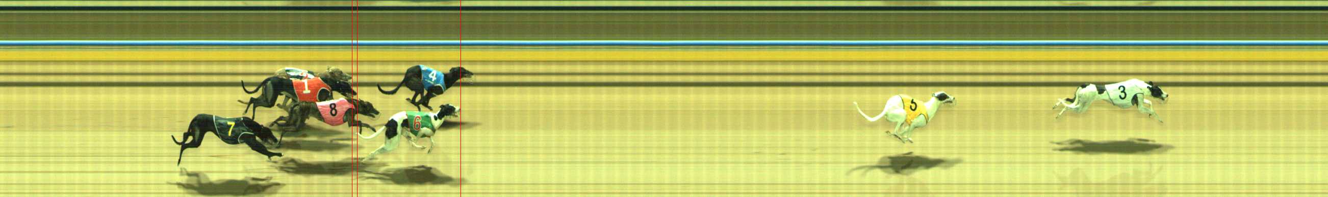 Photo finish for Traralgon Race 7