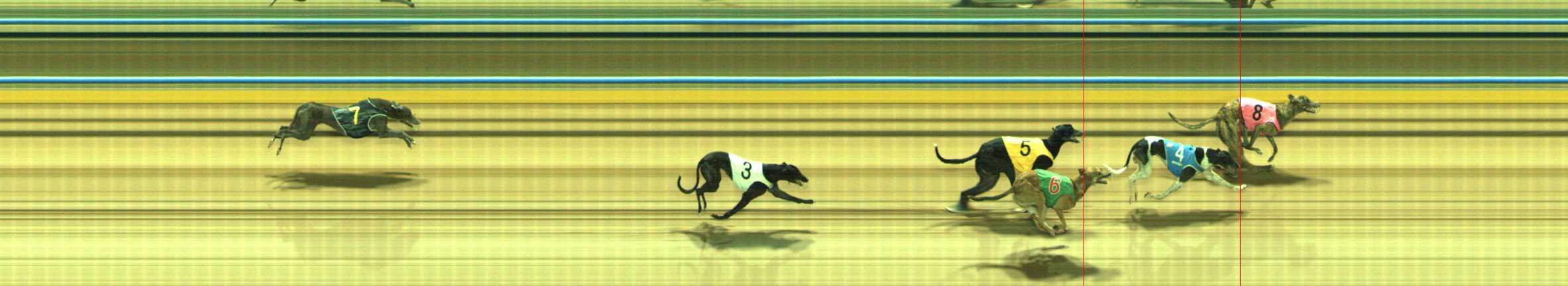 Photo finish for Traralgon Race 8