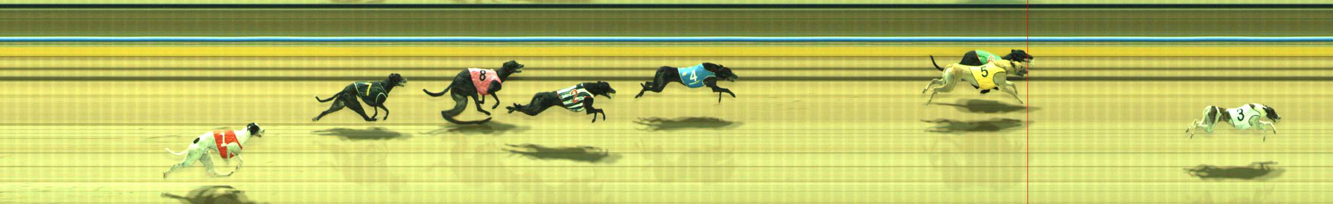 Photo finish for Traralgon Race 9