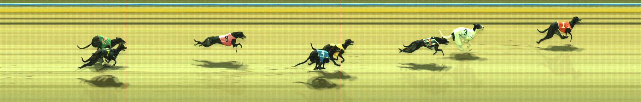 Photo finish for Traralgon Race 10