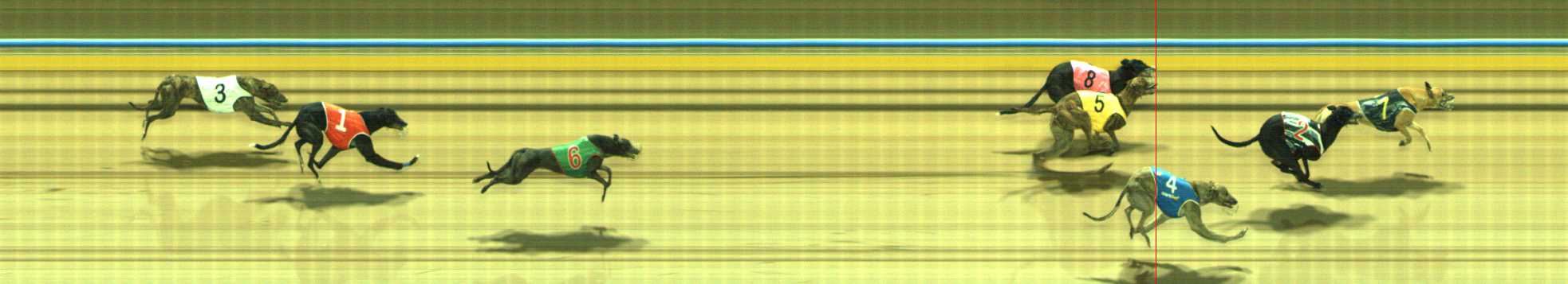 Photo finish for Traralgon Race 11