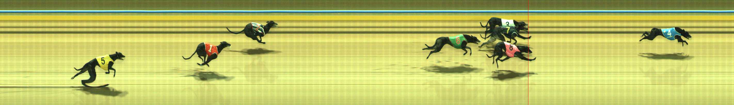 Photo finish for Traralgon Race 12