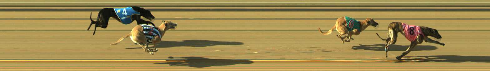 Photo finish for Traralgon Race 1