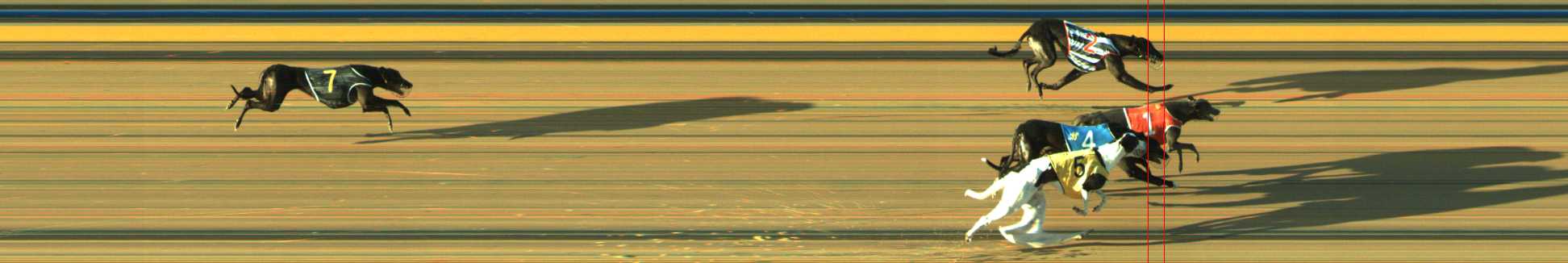 Photo finish for Traralgon Race 4
