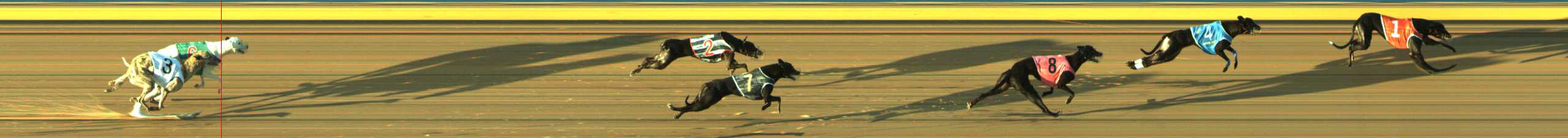 Photo finish for Traralgon Race 5