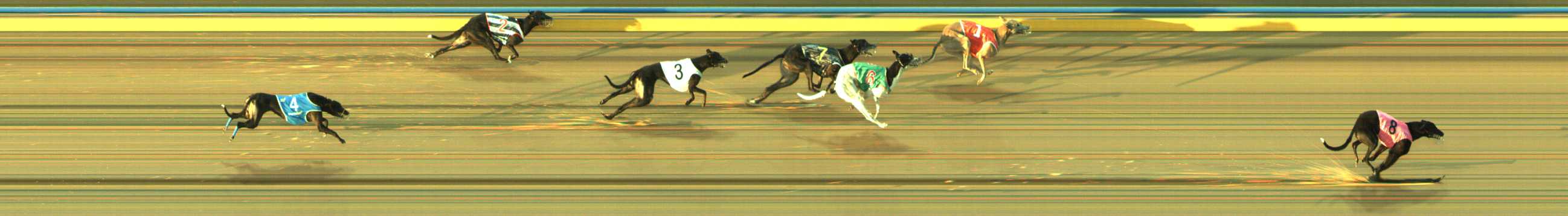 Photo finish for Traralgon Race 6