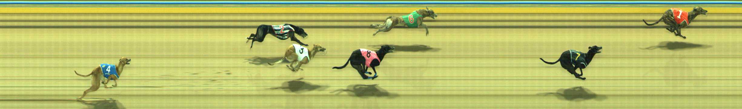 Photo finish for Traralgon Race 8