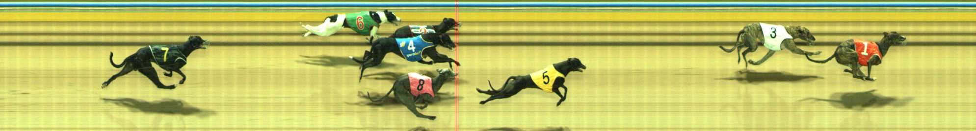 Photo finish for Traralgon Race 9
