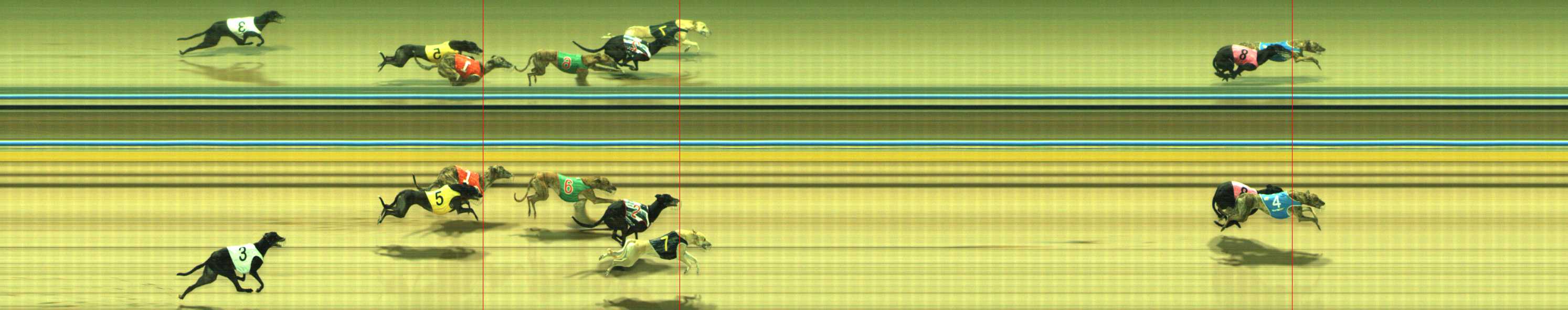Photo finish for Traralgon Race 10