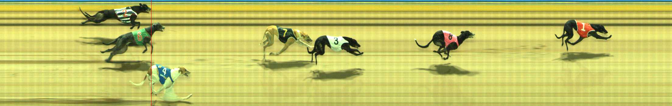 Photo finish for Traralgon Race 11