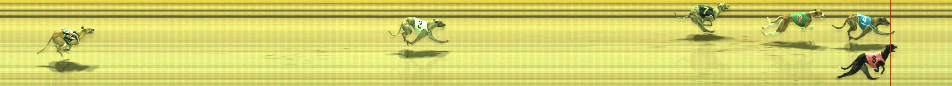 Photo finish for Traralgon Race 12