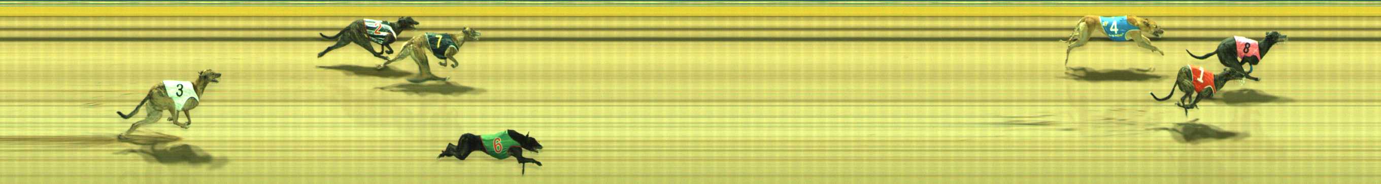 Photo finish for Traralgon Race 13