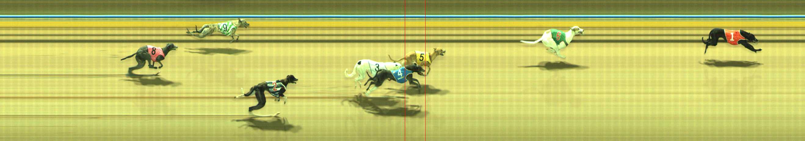 Photo finish for Traralgon Race 1