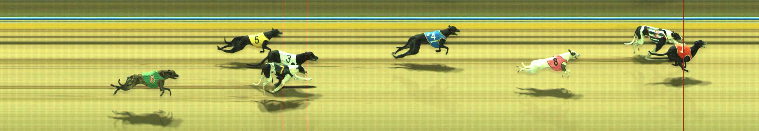 Photo finish for Traralgon Race 2