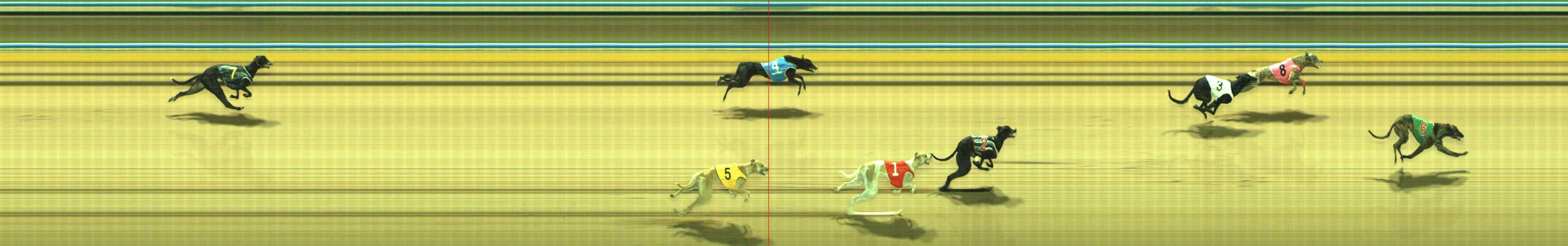 Photo finish for Traralgon Race 3