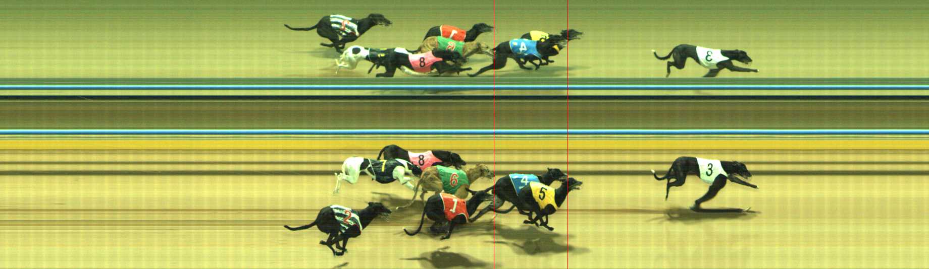 Photo finish for Traralgon Race 4