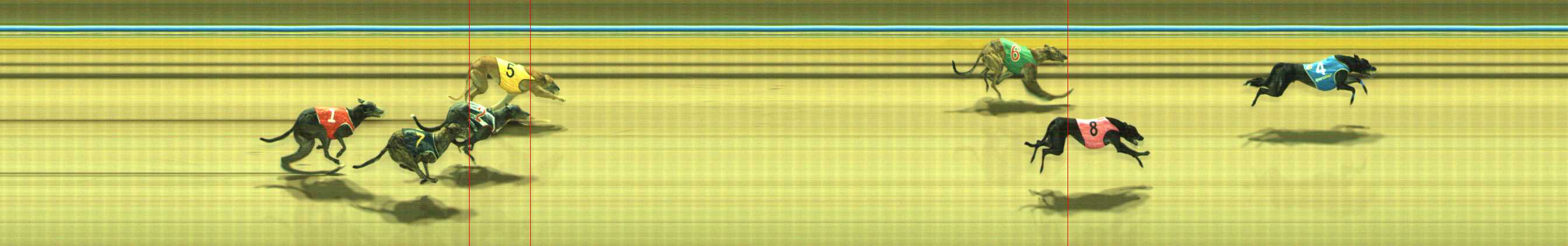 Photo finish for Traralgon Race 5