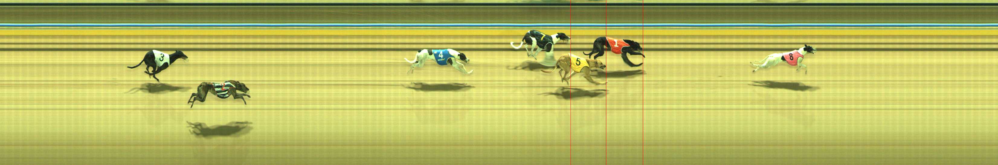 Photo finish for Traralgon Race 6