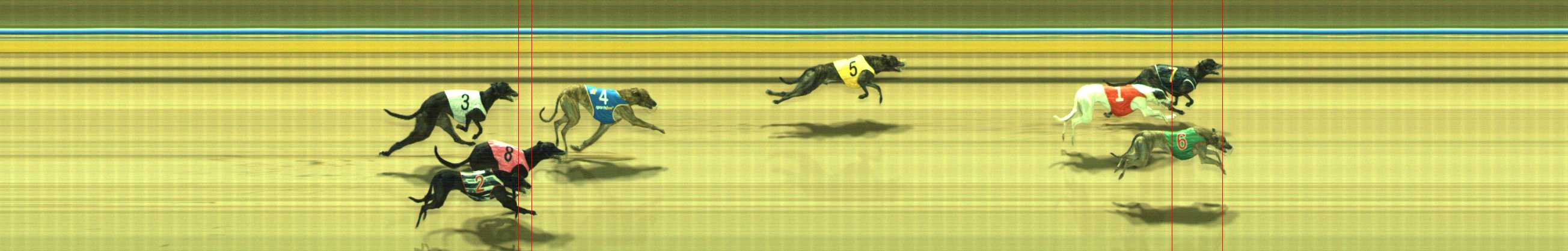 Photo finish for Traralgon Race 7