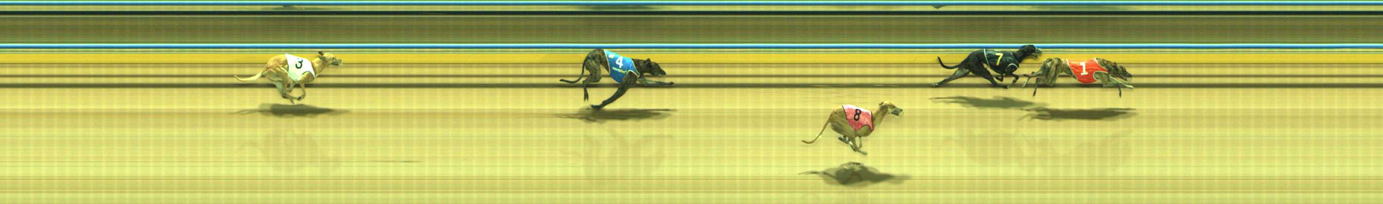 Photo finish for Traralgon Race 8