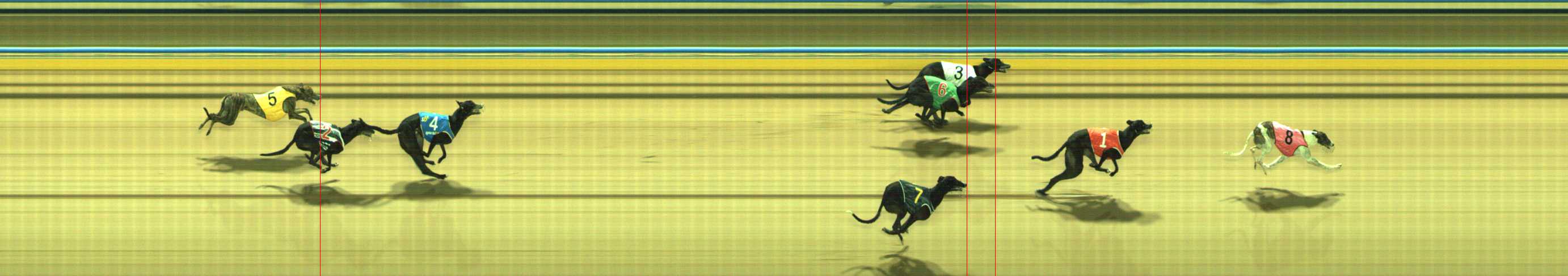 Photo finish for Traralgon Race 9