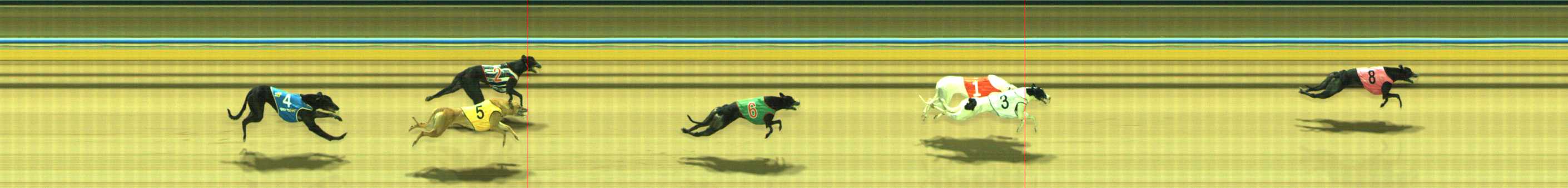Photo finish for Traralgon Race 10
