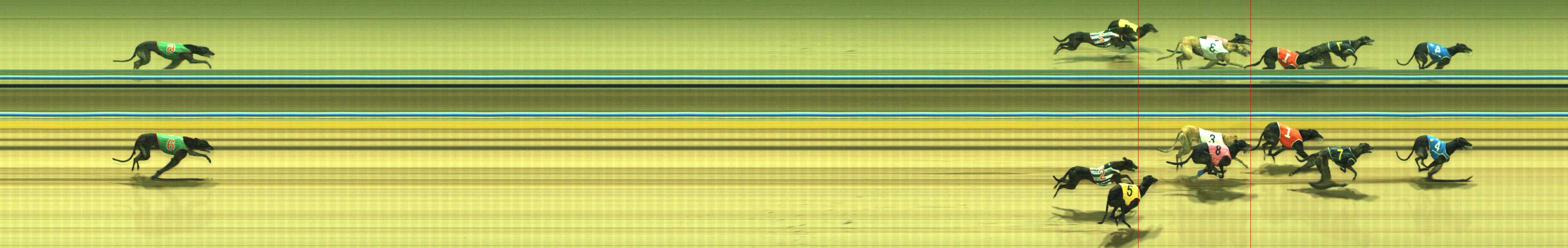 Photo finish for Traralgon Race 11