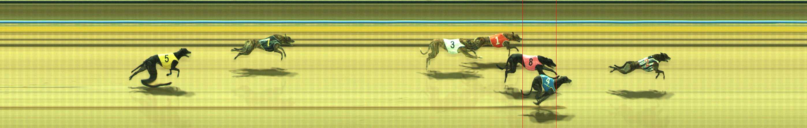 Photo finish for Traralgon Race 12