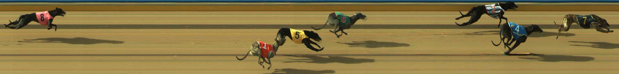 Photo finish for Traralgon Race 2
