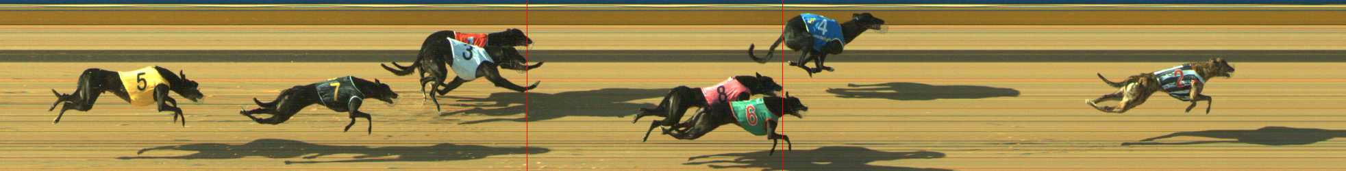 Photo finish for Traralgon Race 3
