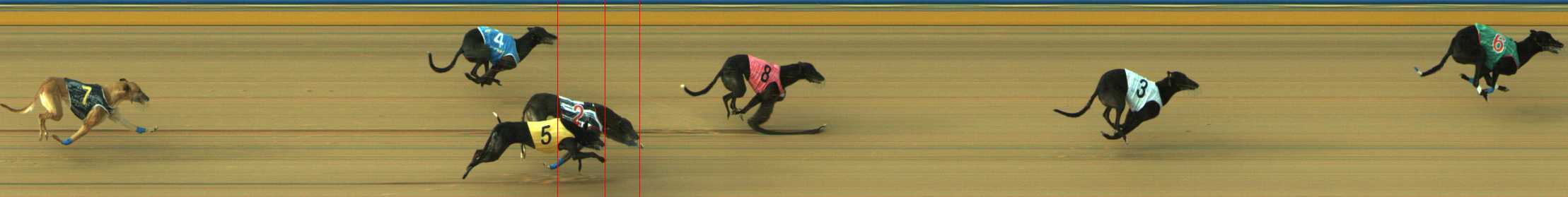 Photo finish for Traralgon Race 4