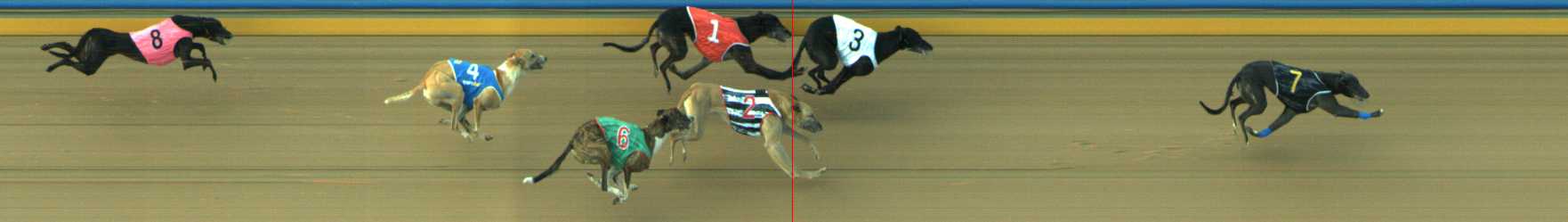 Photo finish for Traralgon Race 5