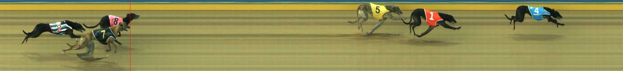 Photo finish for Traralgon Race 6