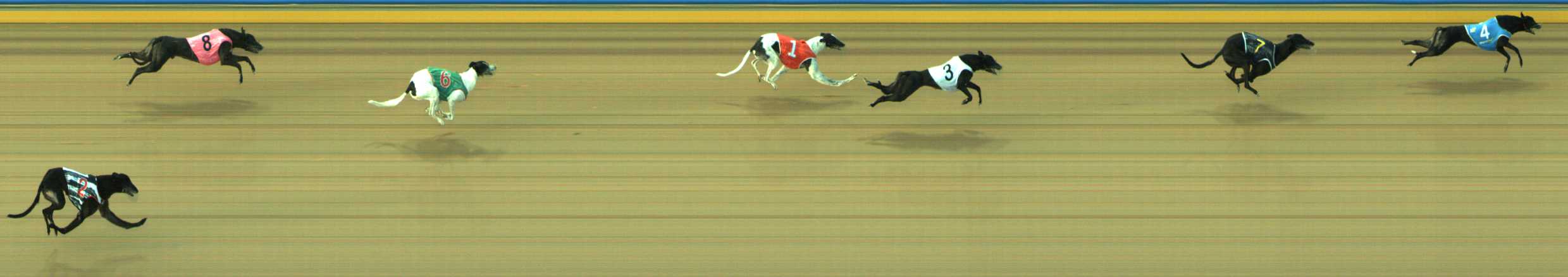 Photo finish for Traralgon Race 7